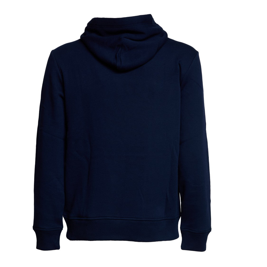 Polo Ralph Lauren Hoodie With Logo