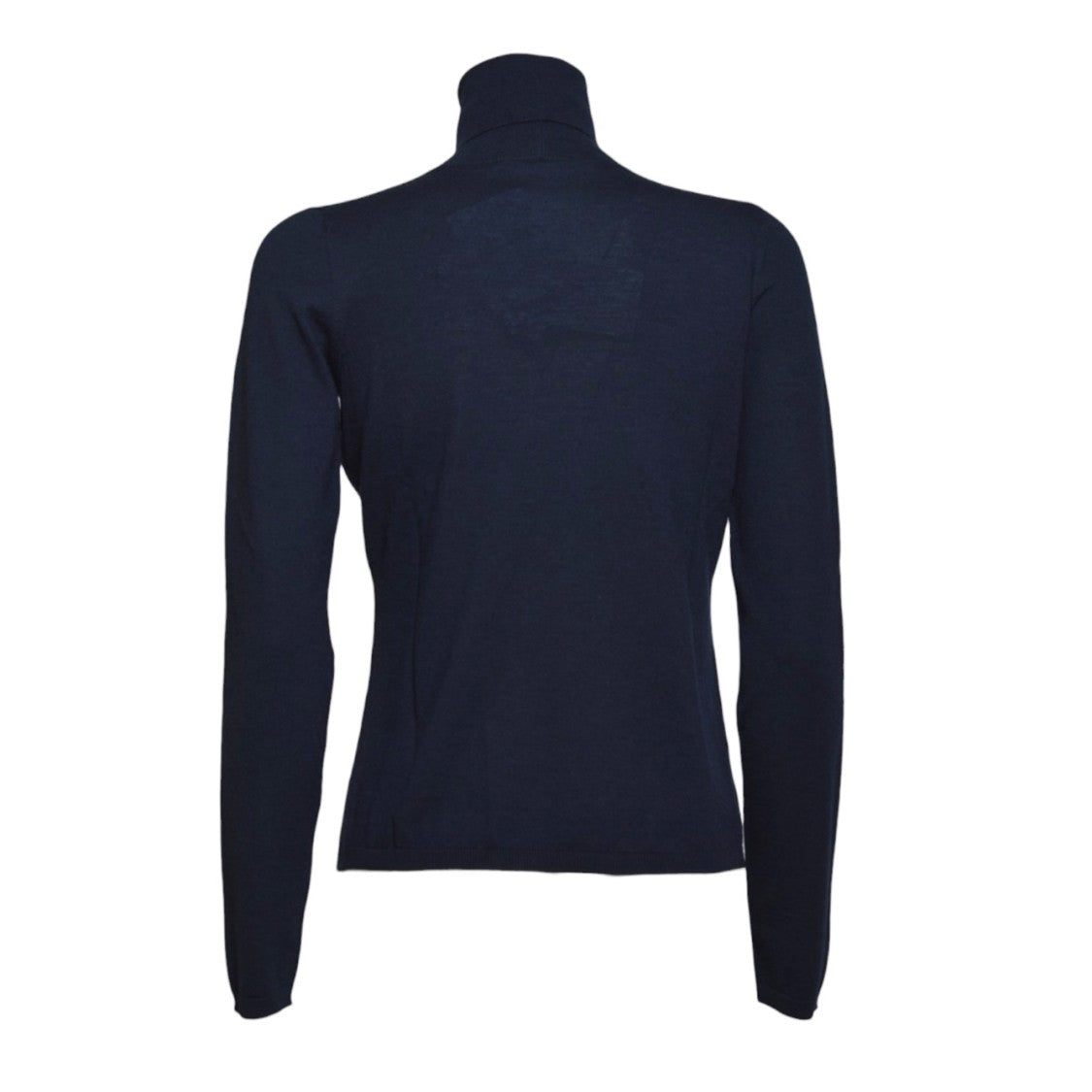 Max Mara Quick Cashmere Turtleneck In Blue