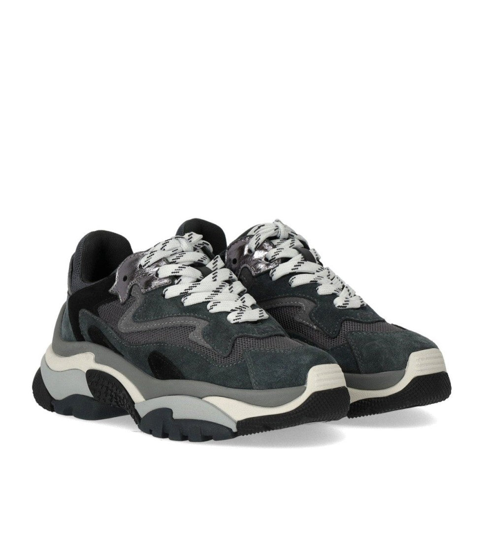Ash Addict Grey Sneaker