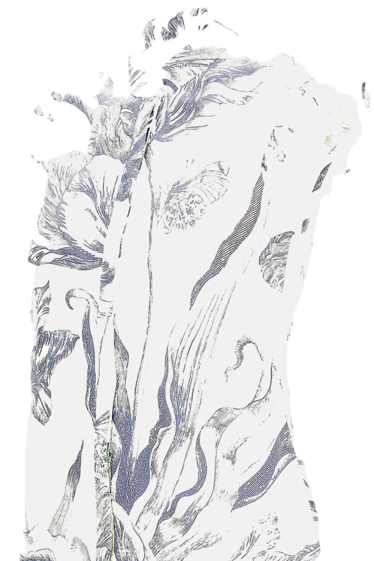 Erdem Light Cotton Poplin Floral Print Top