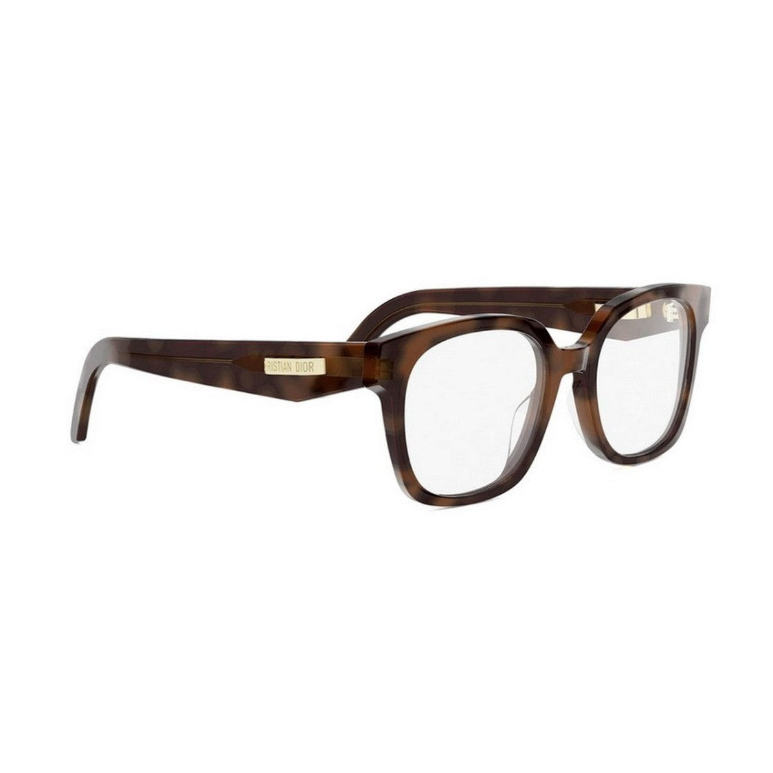 Dior Havana Cdioro S5i Acetate Square Sunglasses