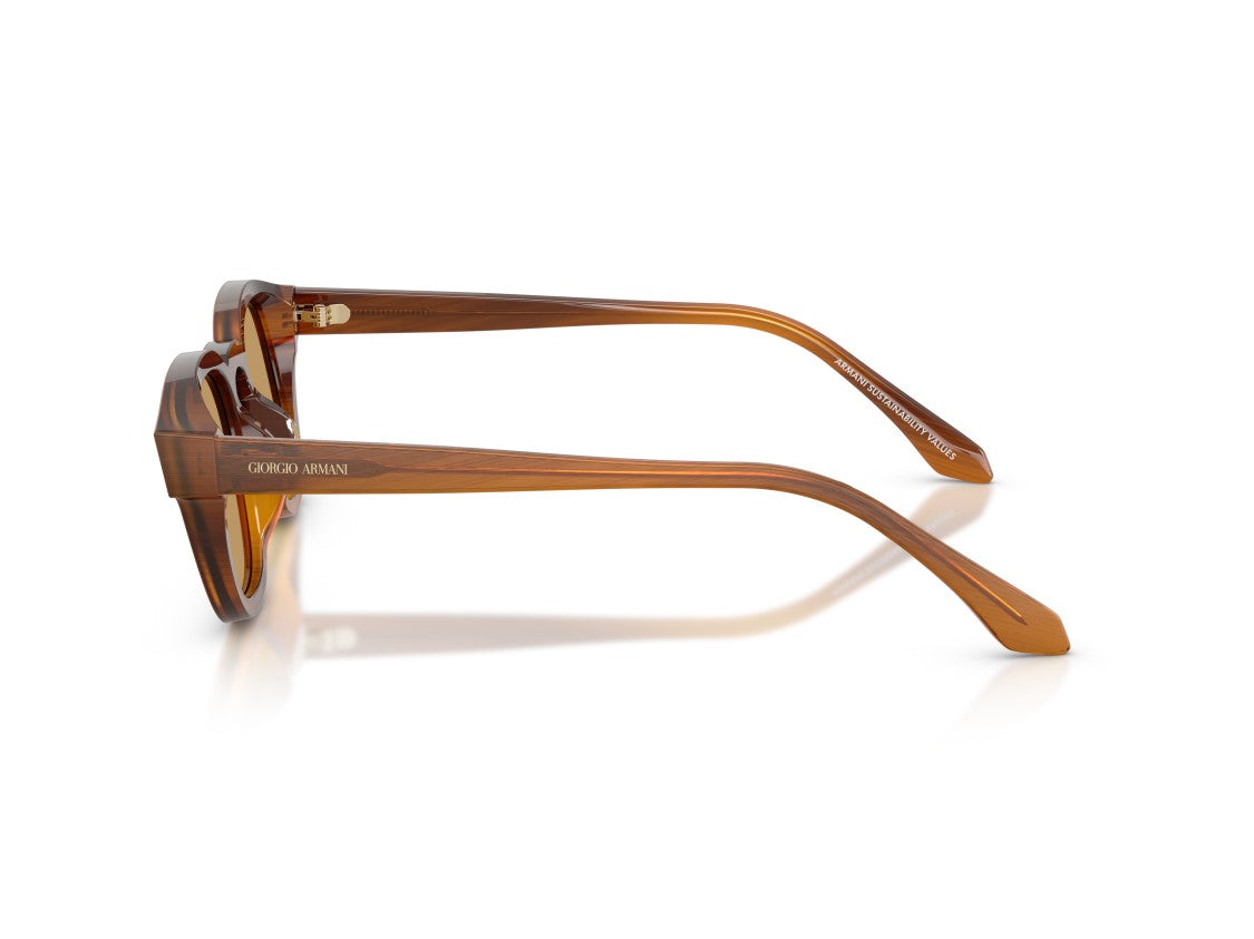 Giorgio Armani Brown 0Ar8254u Translucent Acetate Square Sunglasses