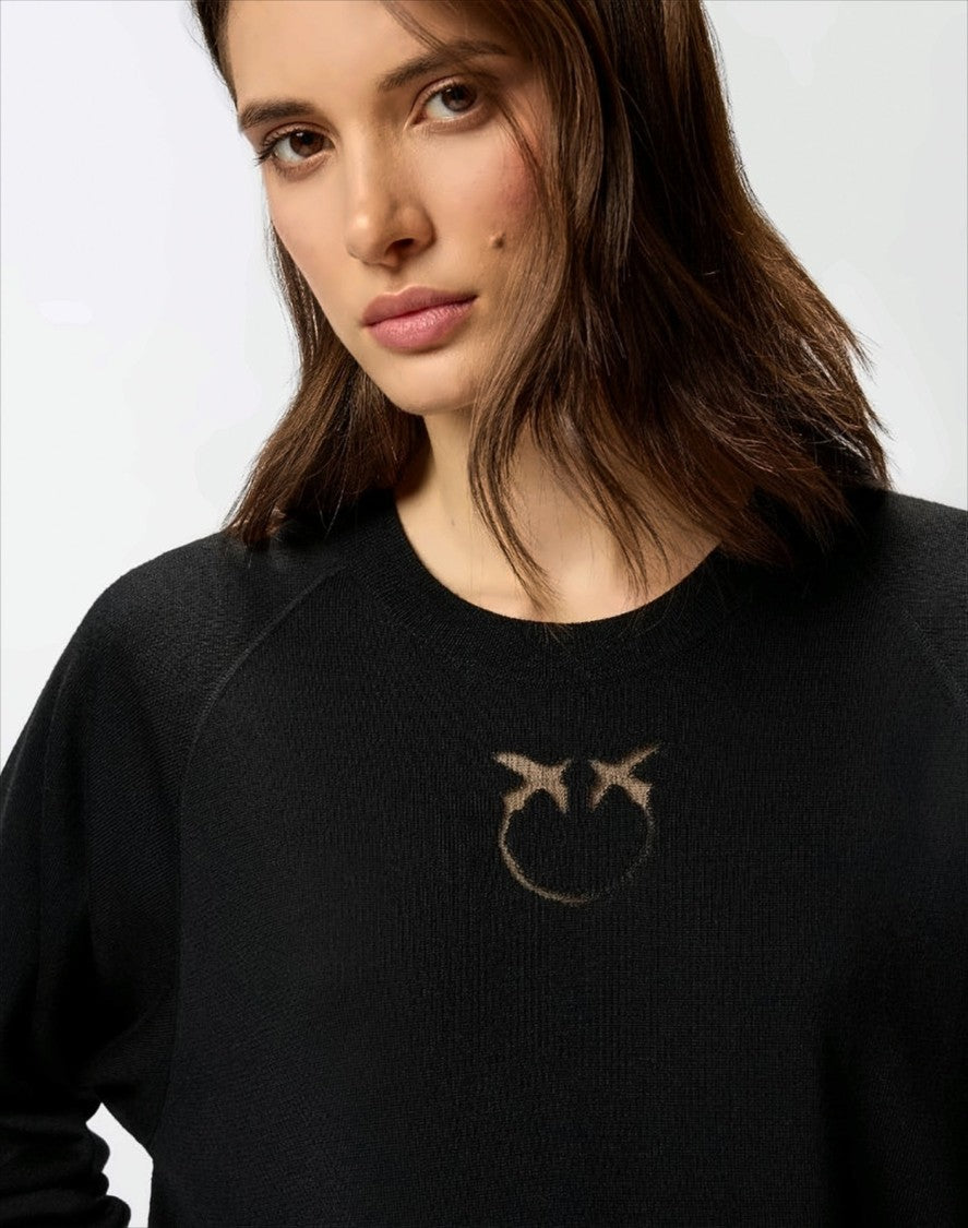 Pinko Crew Neck Merino Wool Sweater
