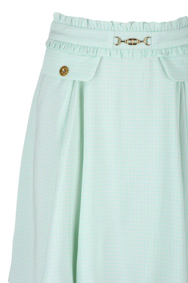 Elisabetta Franchi A-Line Skirt - Aquamarine