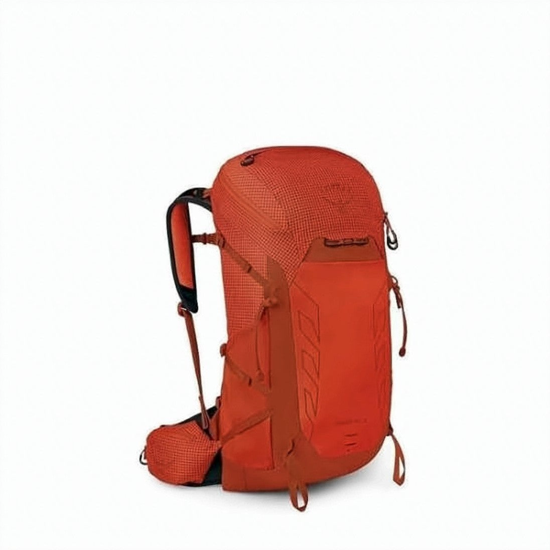Osprey Robust Nylon Backpack With Padded Straps