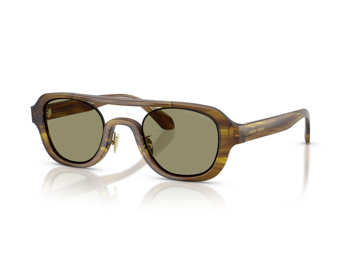 Giorgio Armani Tortoiseshell 0Ar8247 Oversized Sunglasses
