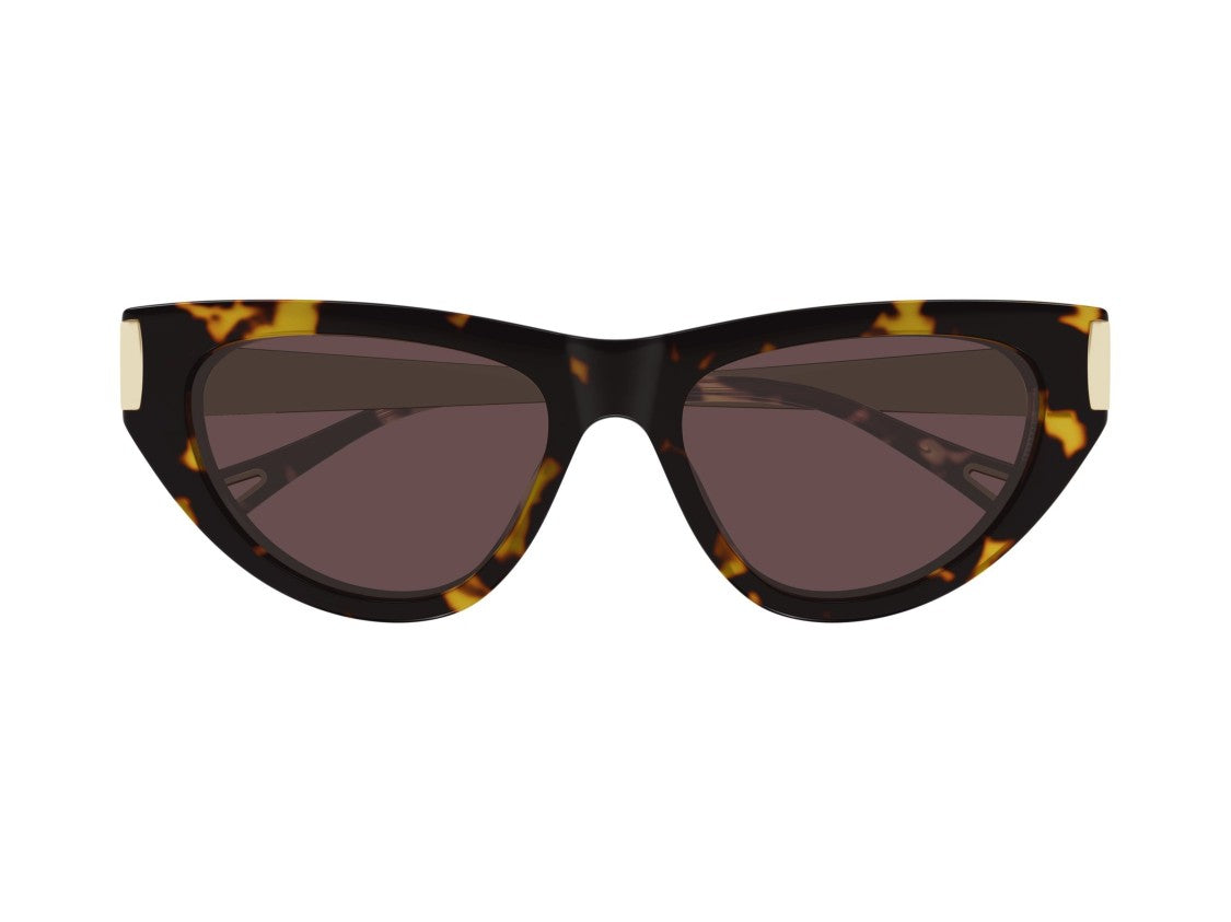 Chloé Tortoiseshell Ch0350s Cat-Eye Sunglasses