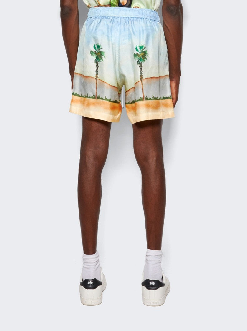 Amiri X Silk Dinosaur Shorts