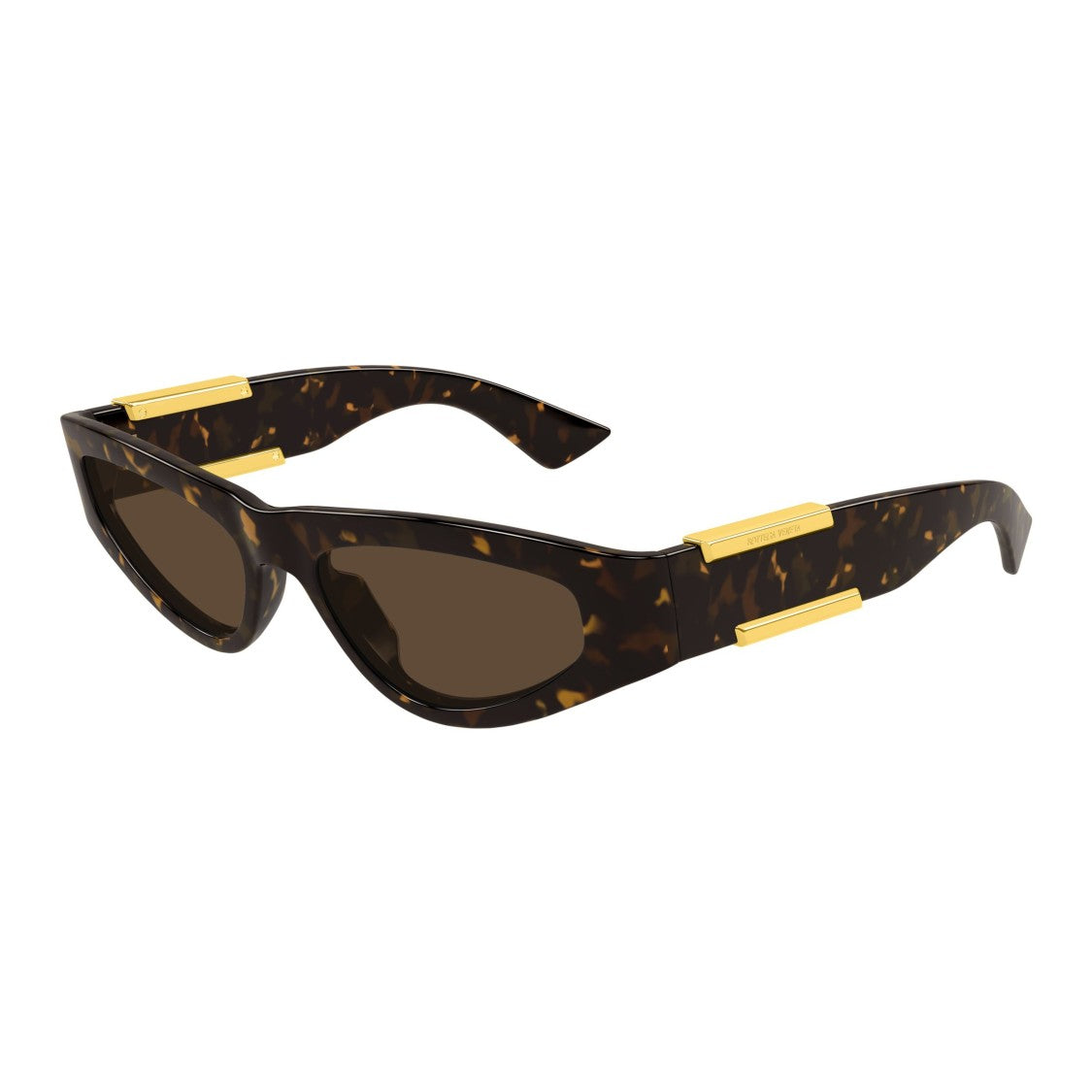Bottega Veneta Bv1407s Cat-Eye Sunglasses