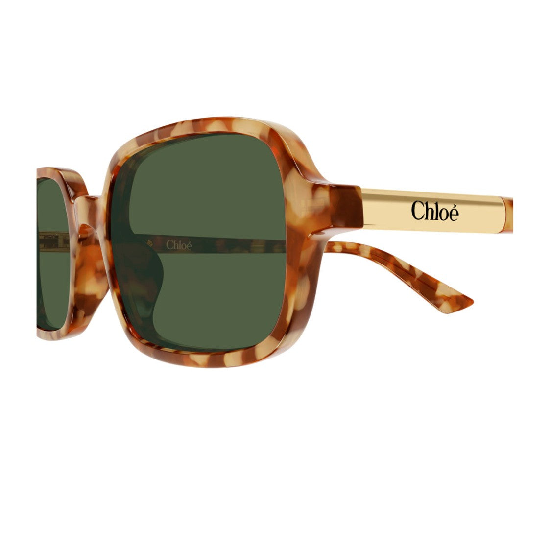 Chloé Havana Ch0363s Oversized Rectangular Acetate Sunglasses