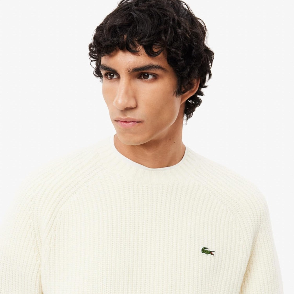 Lacoste Structured Sweater With Minimalistic Detailing