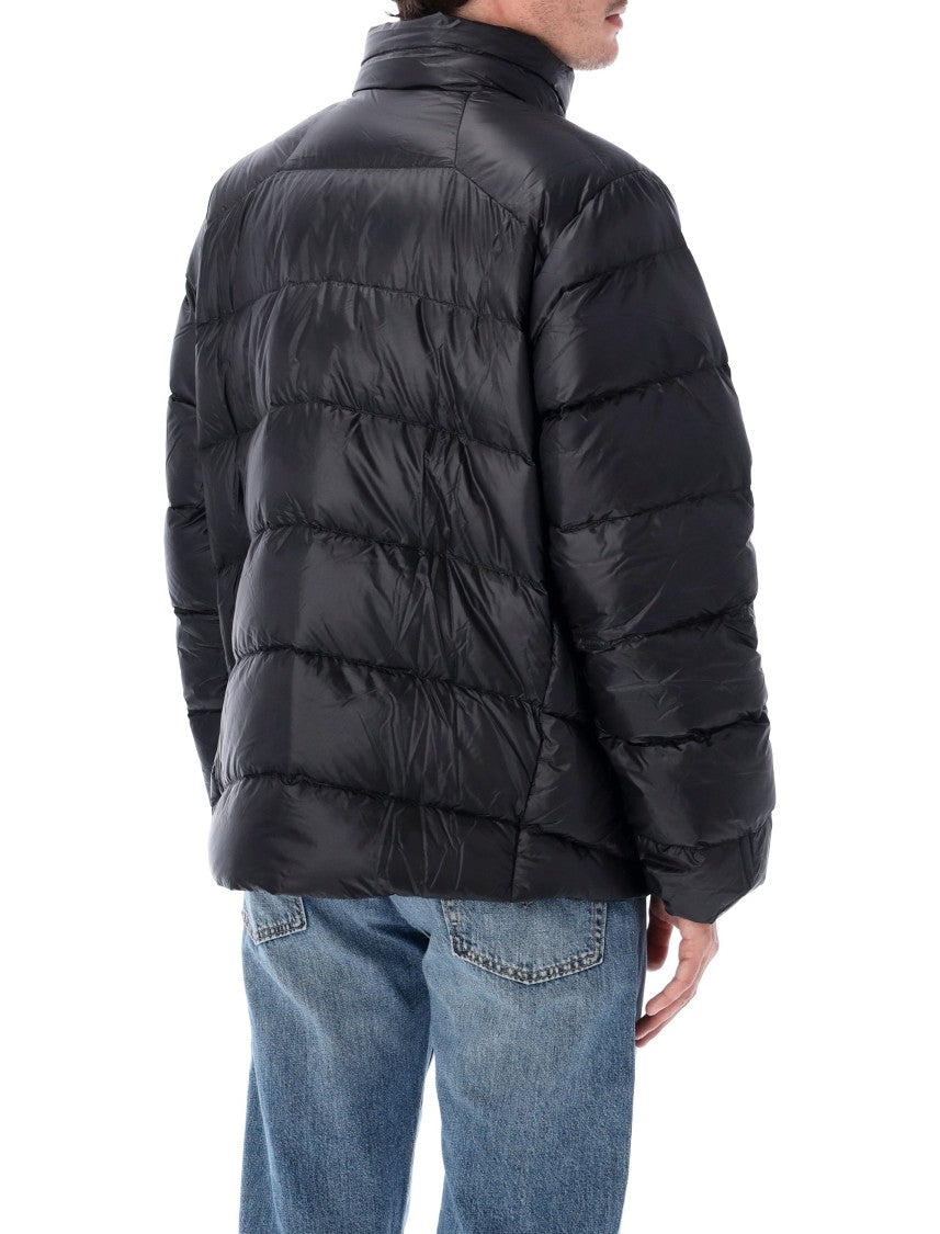 Patagonia Fitz Roy Down Jacket