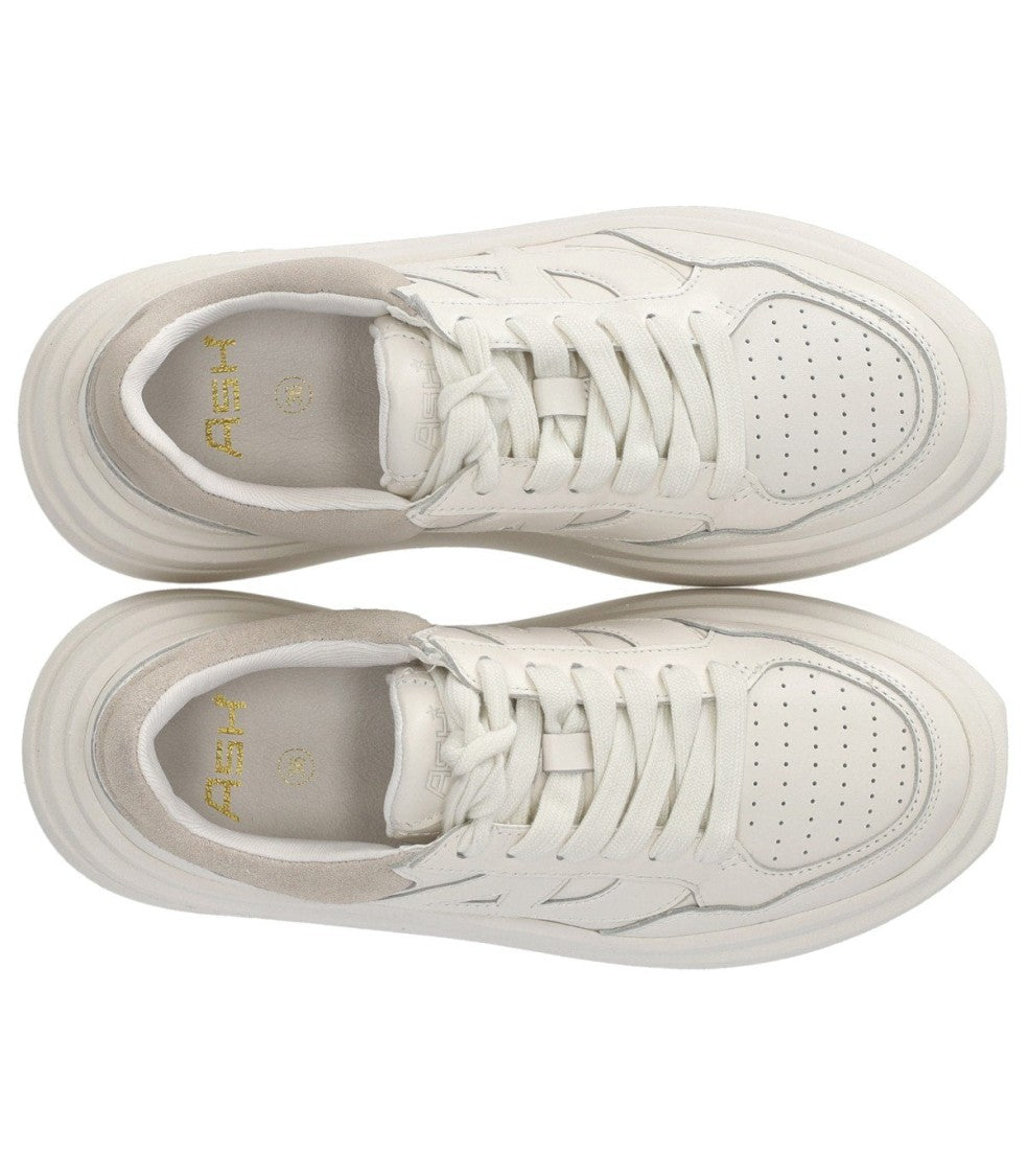 Ash Icone White Talc Sneaker