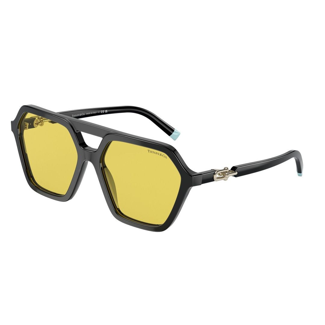 Tiffany & Co. 0Tf4198 Geometric Frame Sunglasses