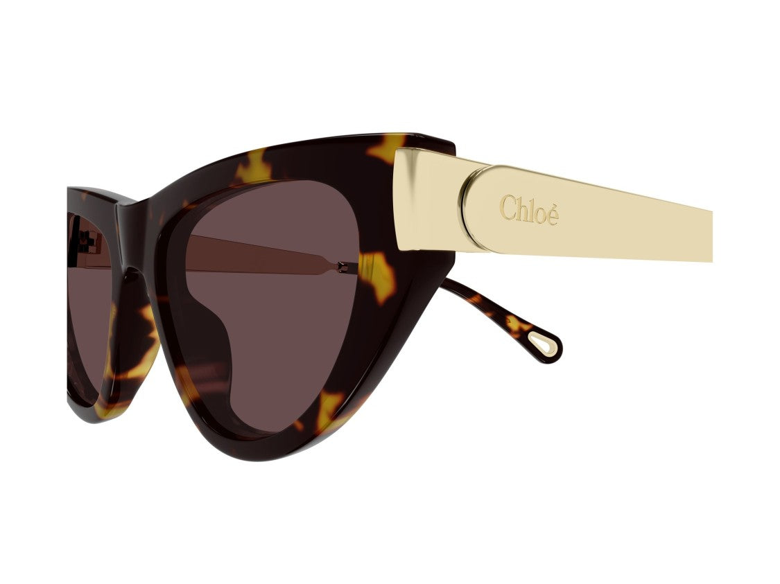 Chloé Ch0350s Engraved Tortoiseshell Bold Cat-Eye Sunglasses