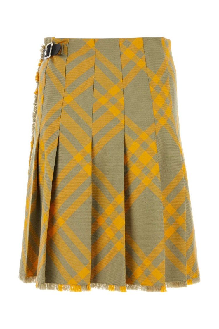 Burberry Embroidered Silk Skirt