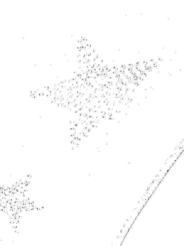 Stella Mccartney Classic Bikini