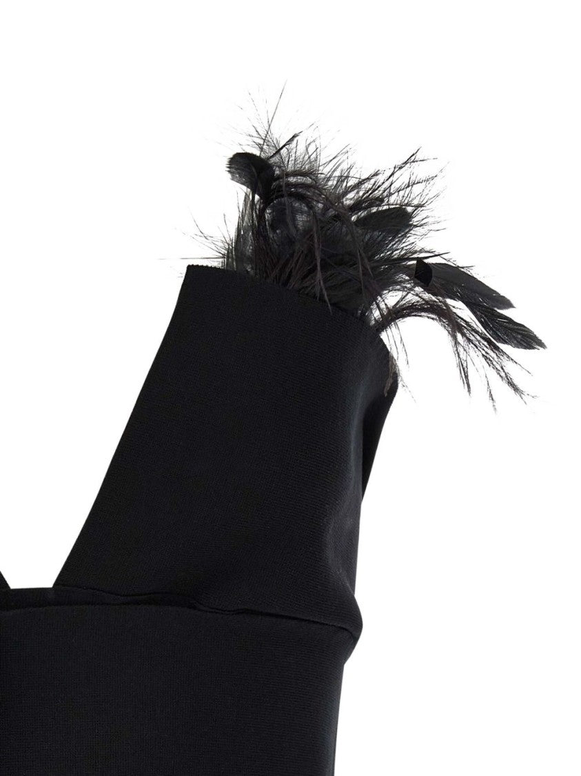 Alberta Ferretti Structured Bustier Top With Feather Details