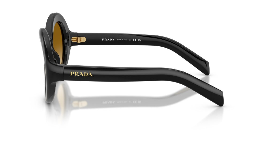 Prada 0Pr D08su Oversized Rounded Sunglasses