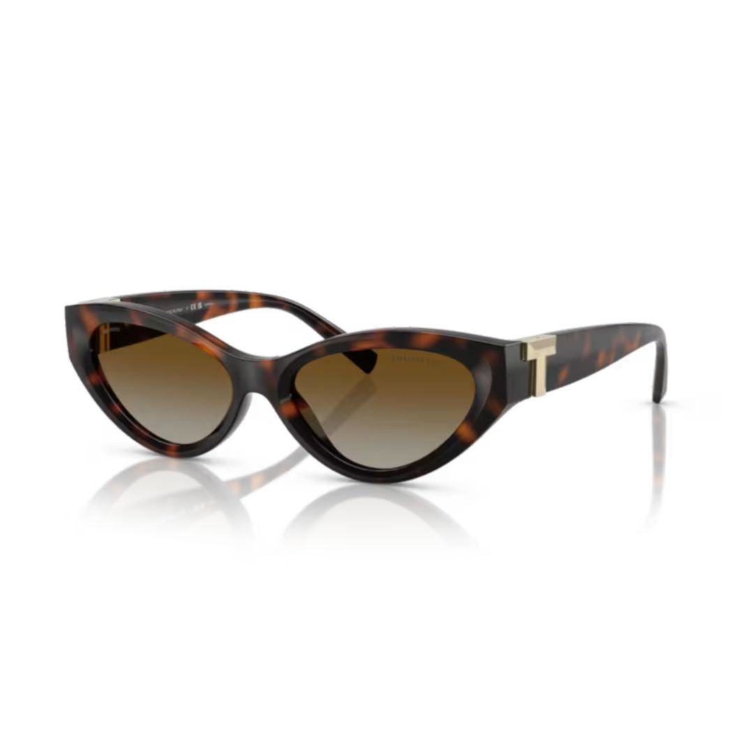 Tiffany & Co. 0Tf4225u Cat-Eye Frame Sunglasses