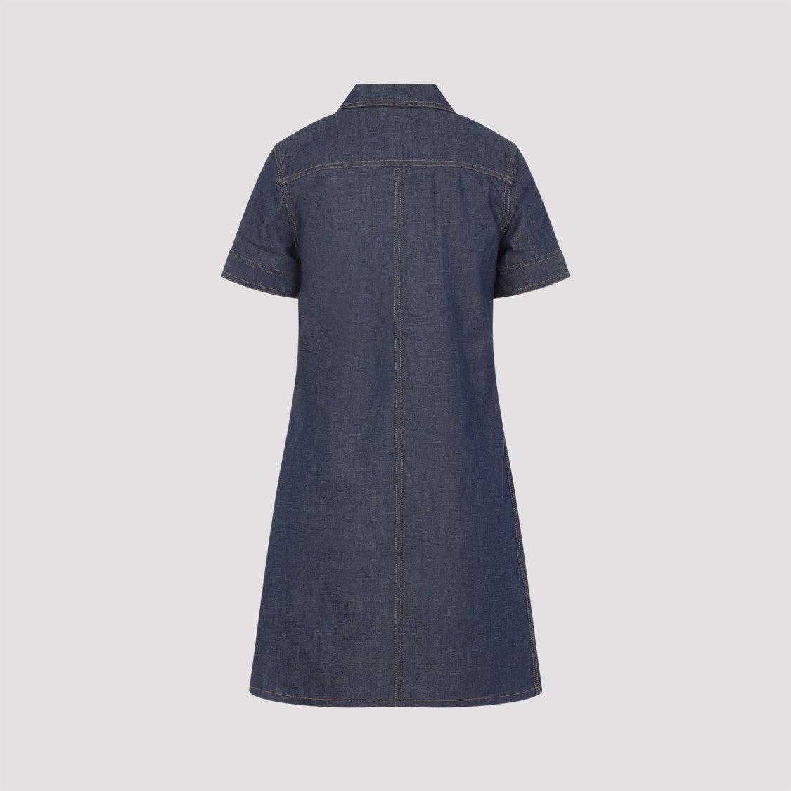 Celine Pointed Collar Mini Dress