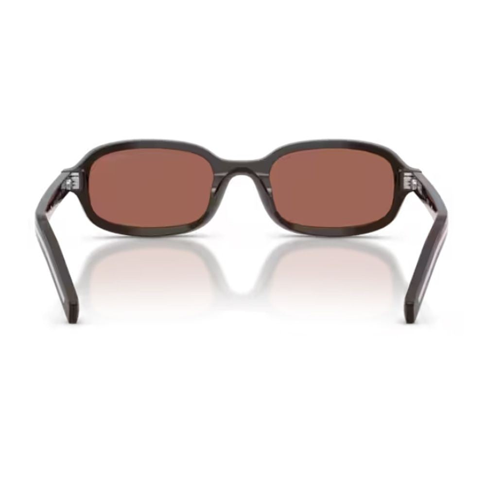 Prada Cigar Pr D06s Oval Acetate Sunglasses
