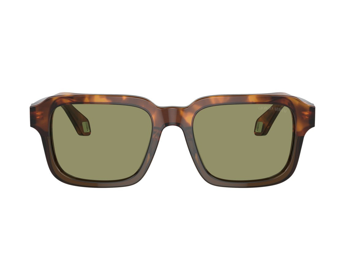 Giorgio Armani Tortoiseshell 0Ar8194u Oversized Square Sunglasses