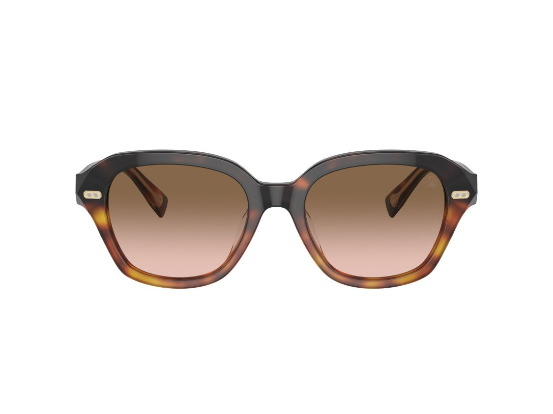 Brunello Cucinelli Gold 0Bc4004s Tortoiseshell Acetate Oversized Square Sunglasses