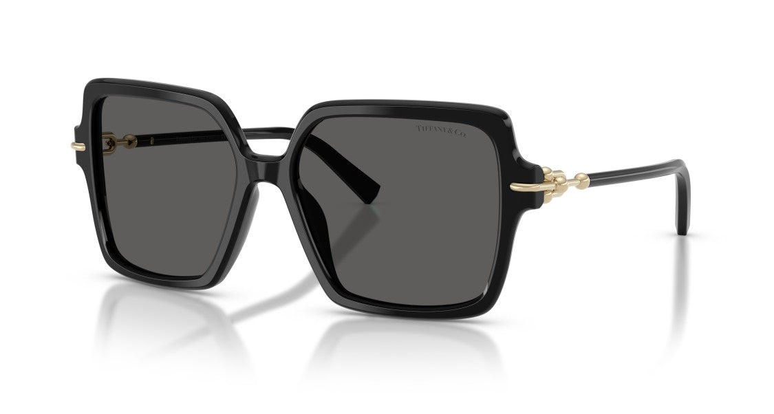 Tiffany & Co. 0Tf4260u Oversized Square Black Sunglasses