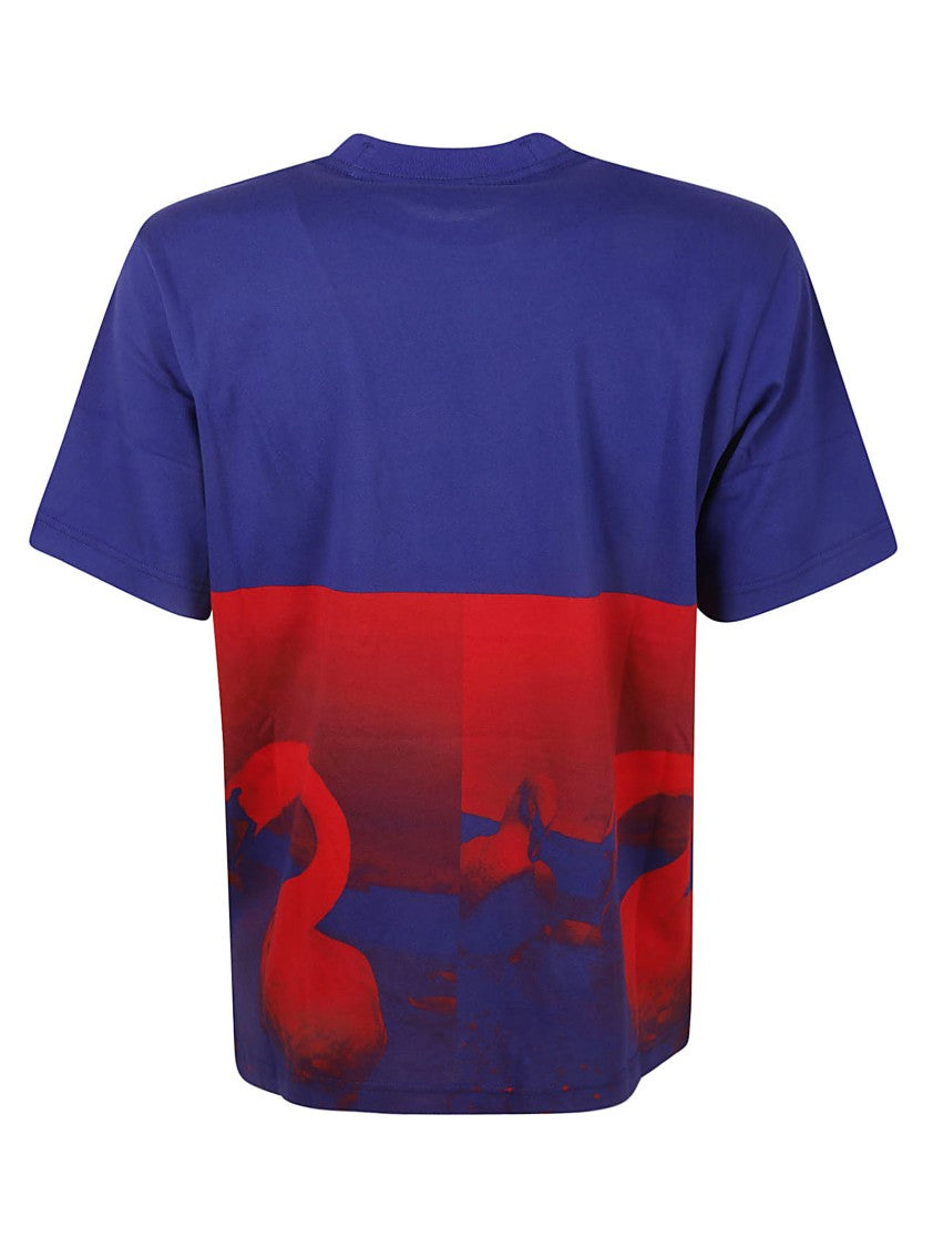 Burberry Color-Blocked Graphic Print T-Shirt