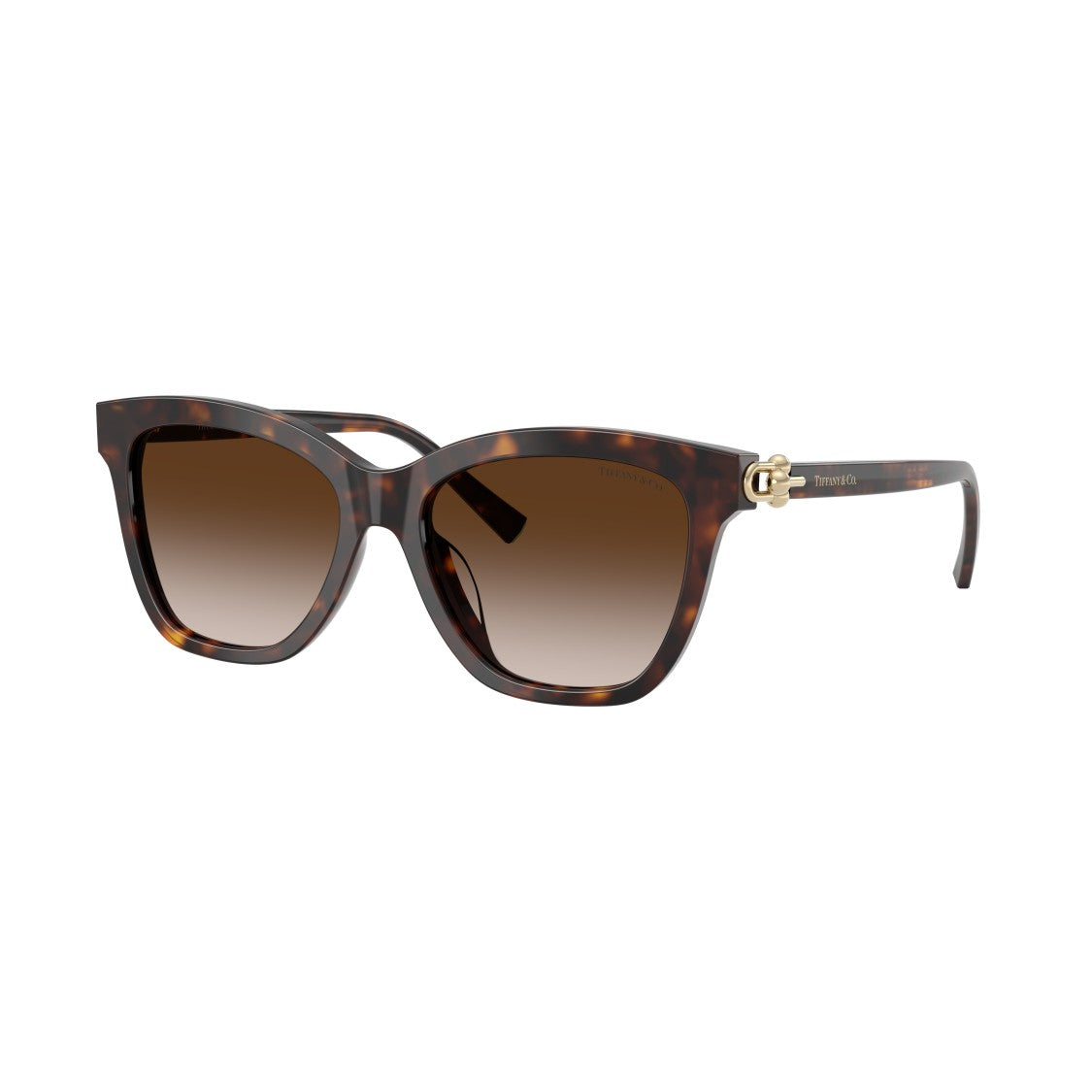 Tiffany & Co. 0Tf4241d Oversized Square Frame Tortoiseshell Sunglasses