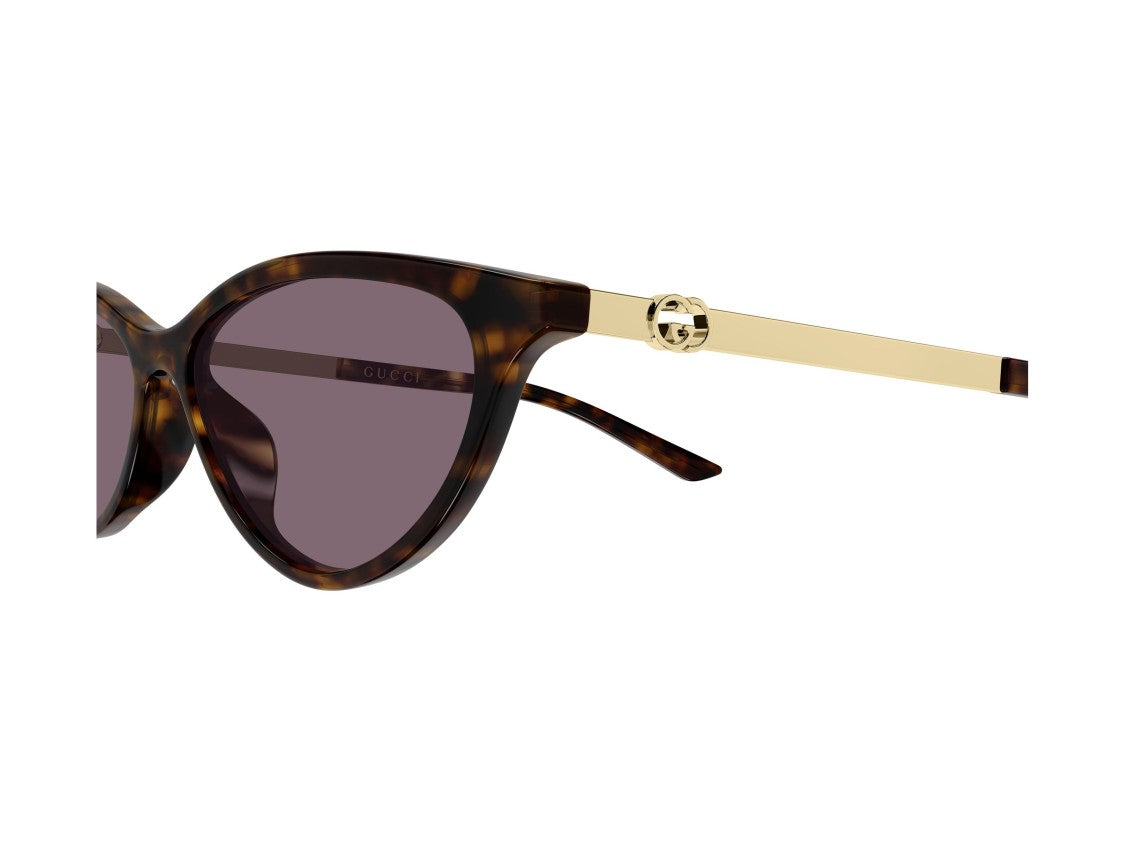 Gucci Tortoiseshell Gg2211s Cat-Eye Acetate Sunglasses