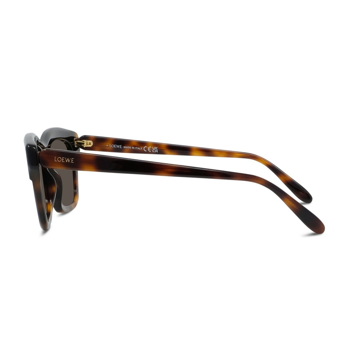 Loewe Havana Black Slim Bicolor Cat-Eye Sunglasses