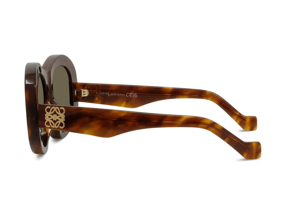 Loewe Lw40181i Bold Rounded Square Tortoiseshell Sunglasses