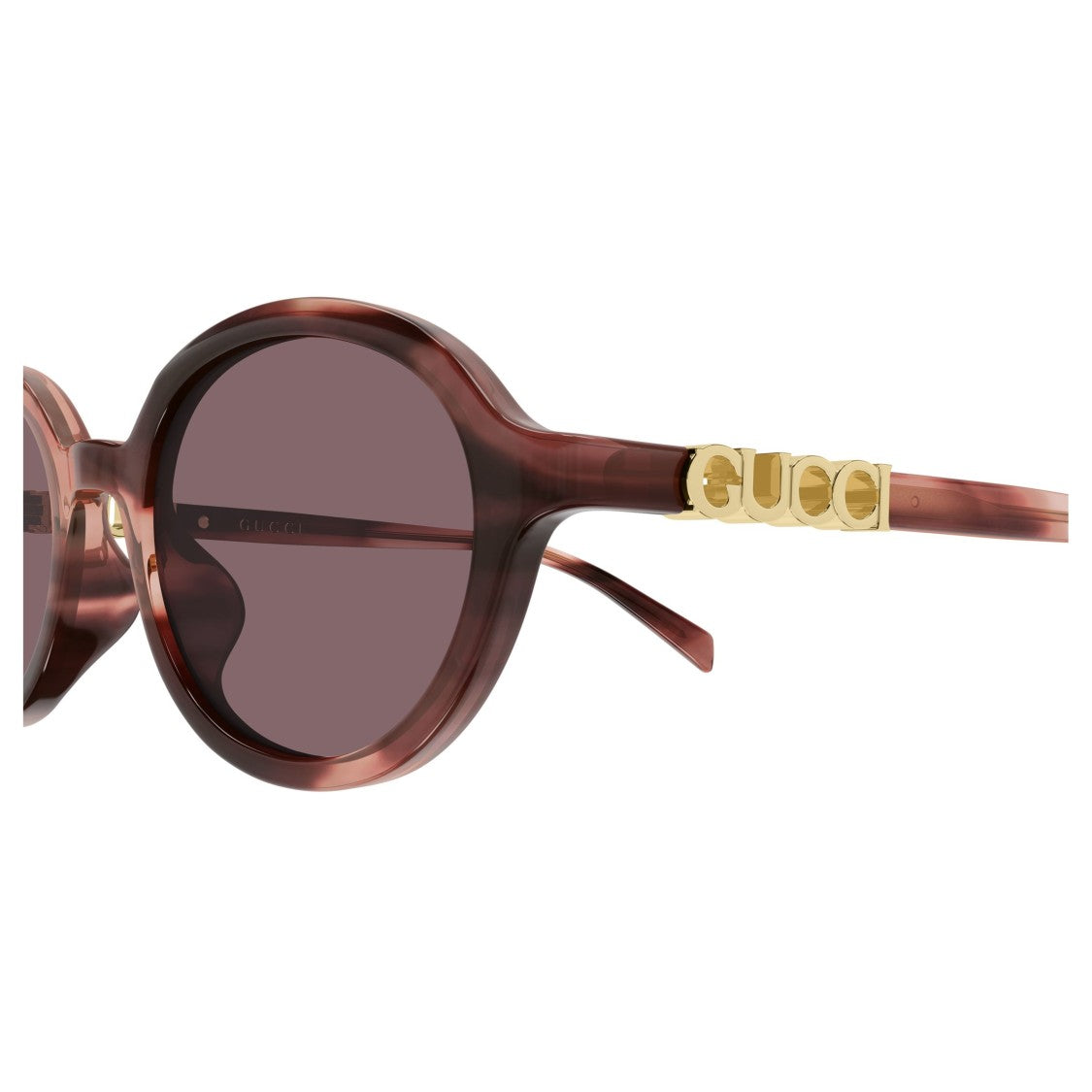 Gucci Gg2033sa Translucent Brown Acetate Sunglasses