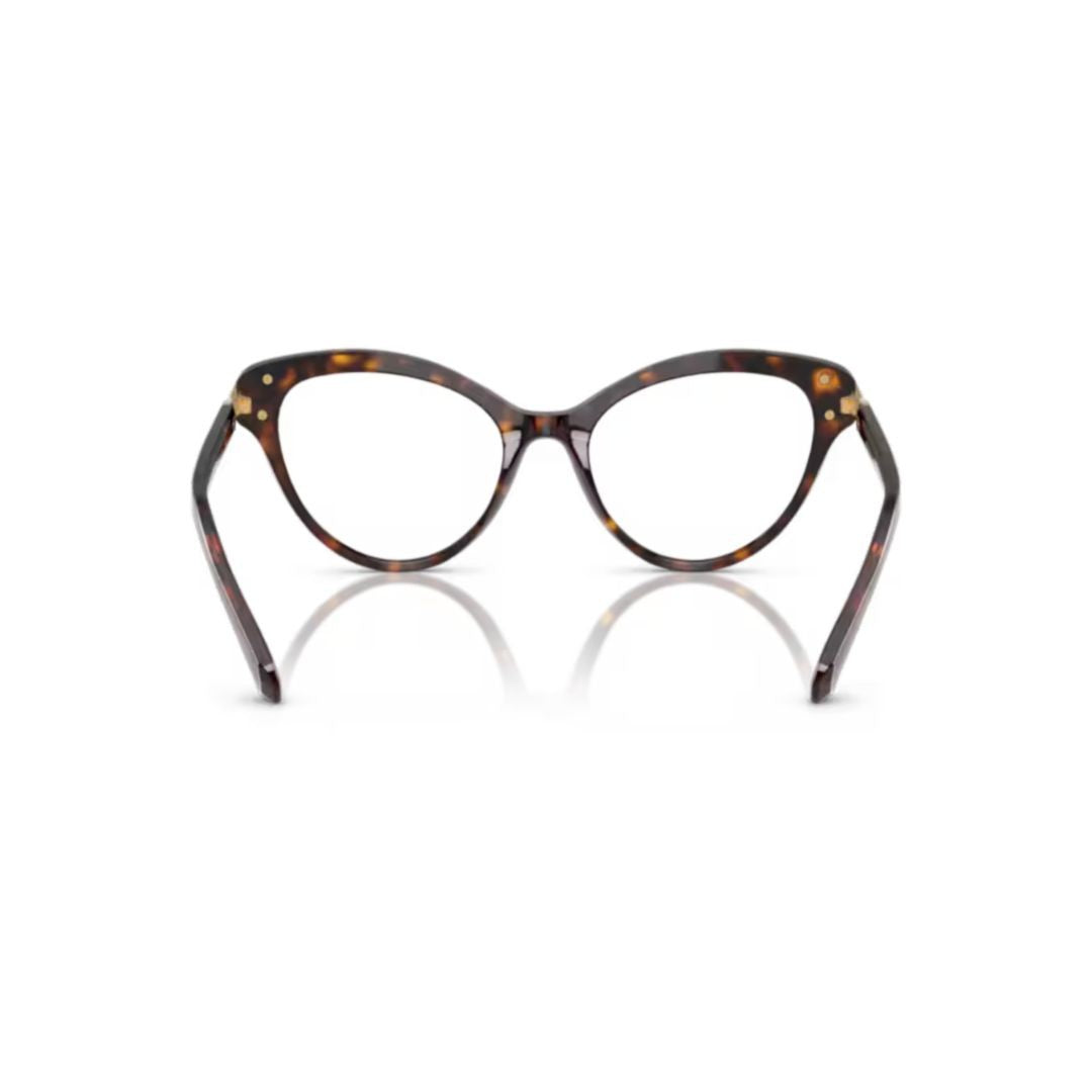 Swarovski 0Sk2030 Cat-Eye Tortoiseshell Acetate Sunglasses