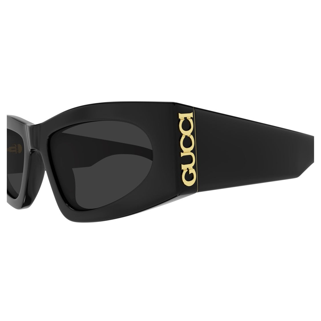 Gucci Gg2040s Angular Cat-Eye Sunglasses