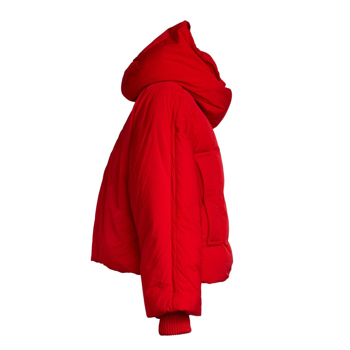 Sportmax Short Padded Jacket With High Collar And Horizontal Stitching