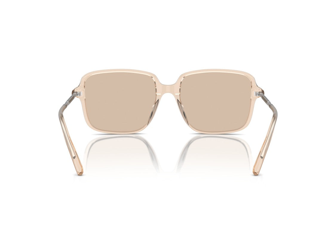 Brunello Cucinelli 0Bc3001 Translucent Acetate Oversized Square Sunglasses