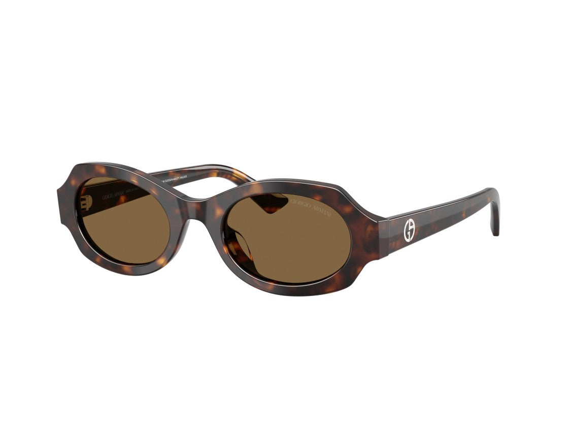 Giorgio Armani 0Ar8245hu Tortoiseshell Acetate Sunglasses