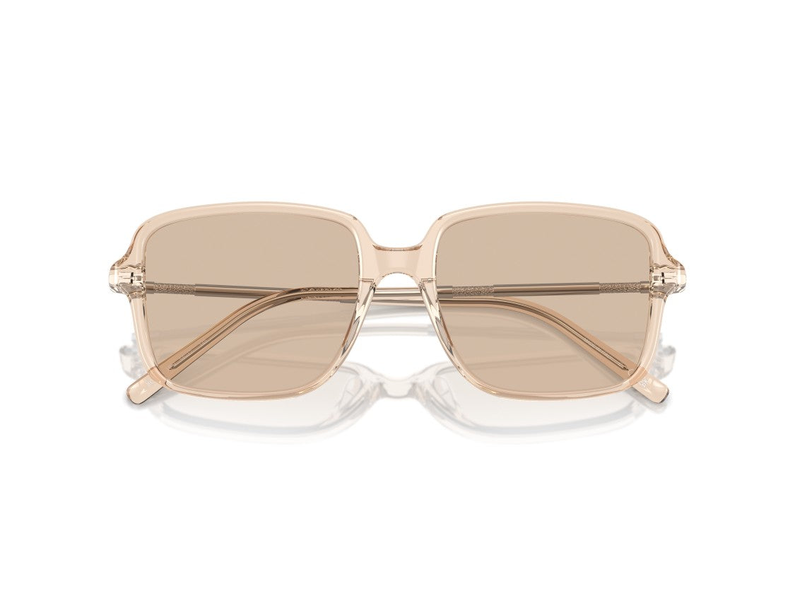 Brunello Cucinelli 0Bc3001 Translucent Acetate Oversized Square Sunglasses