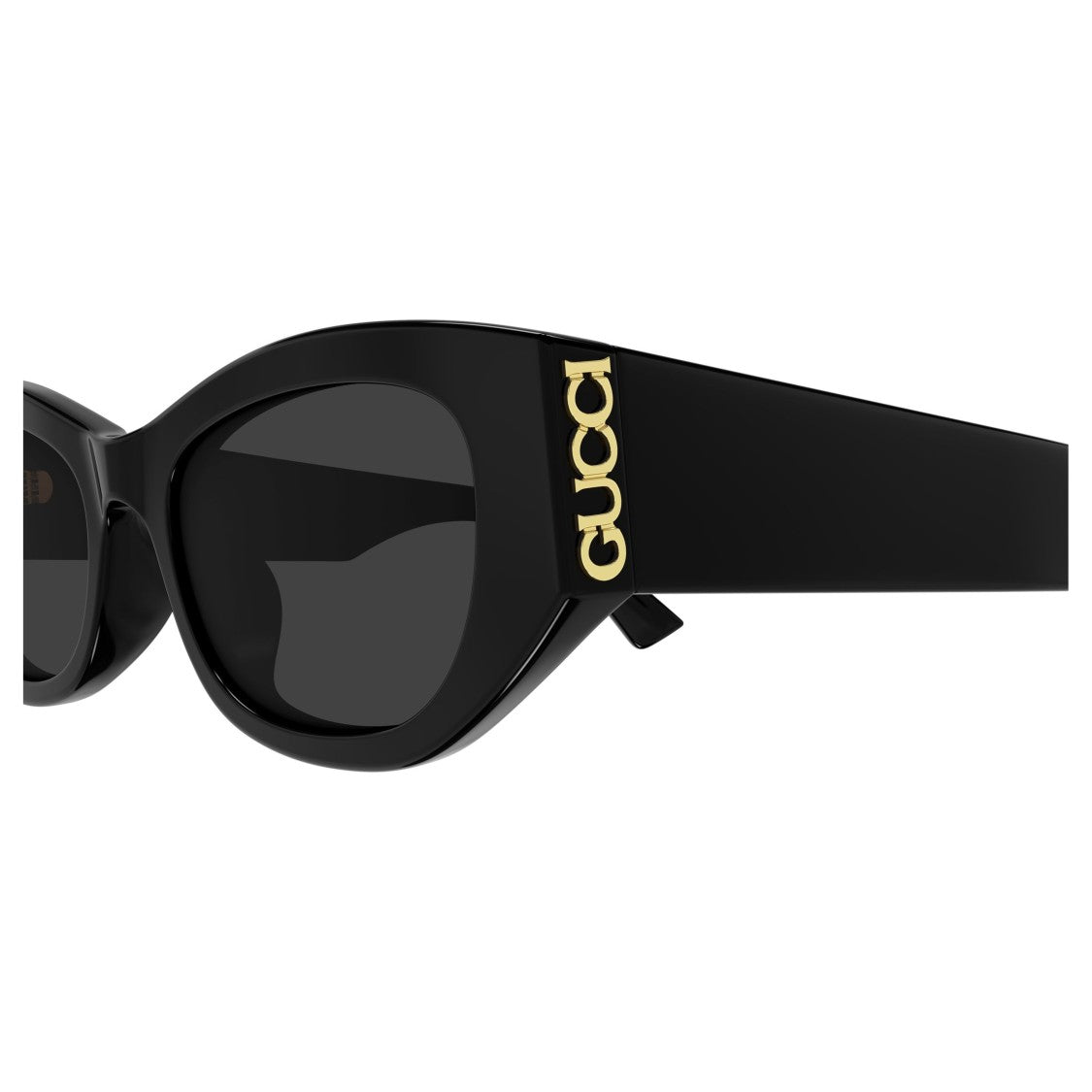 Gucci Gg2044sa Cat-Eye Sunglasses