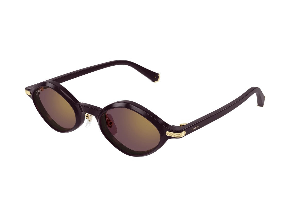 Cartier Ct0540s Rounded Gold Accents Sunglasses
