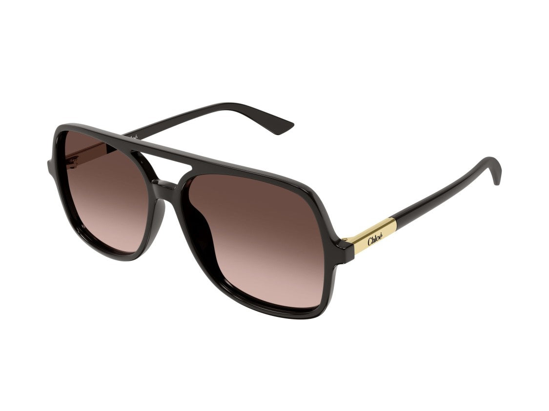 Chloé Ch0364s Square Sunglasses