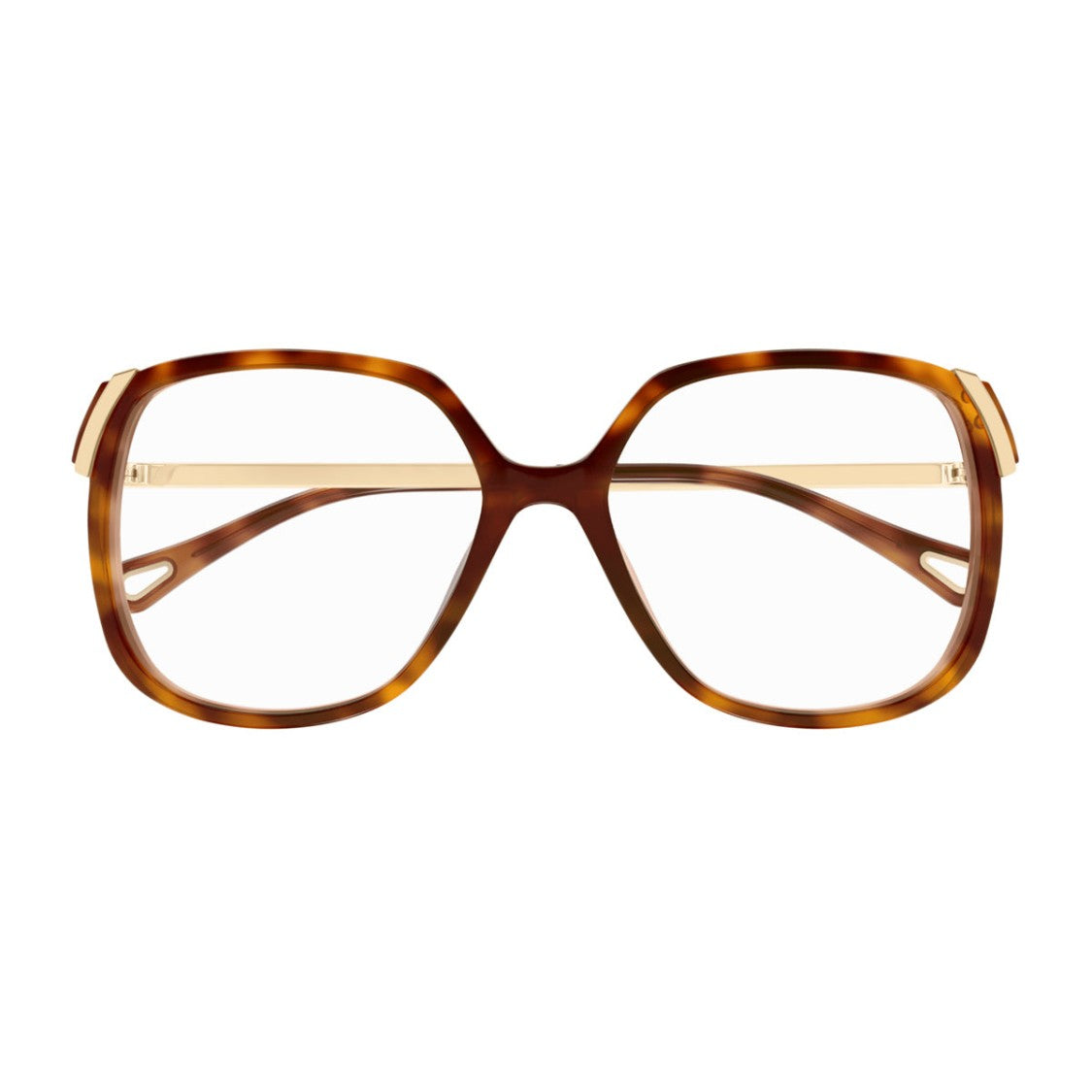 Chloé Havana Aly Oversized Square Acetate Sunglasses