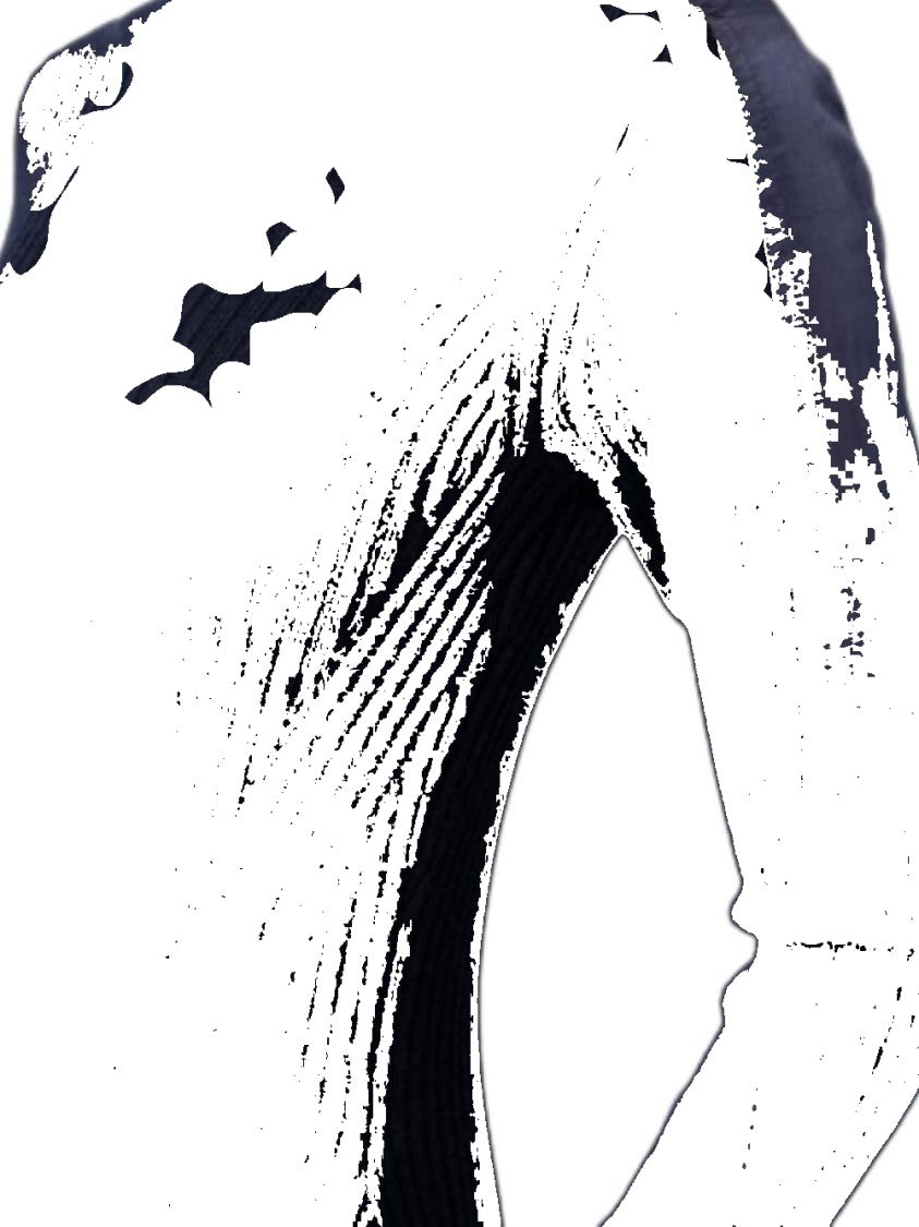 Rag & Bone Nikole Ls Midi Dress