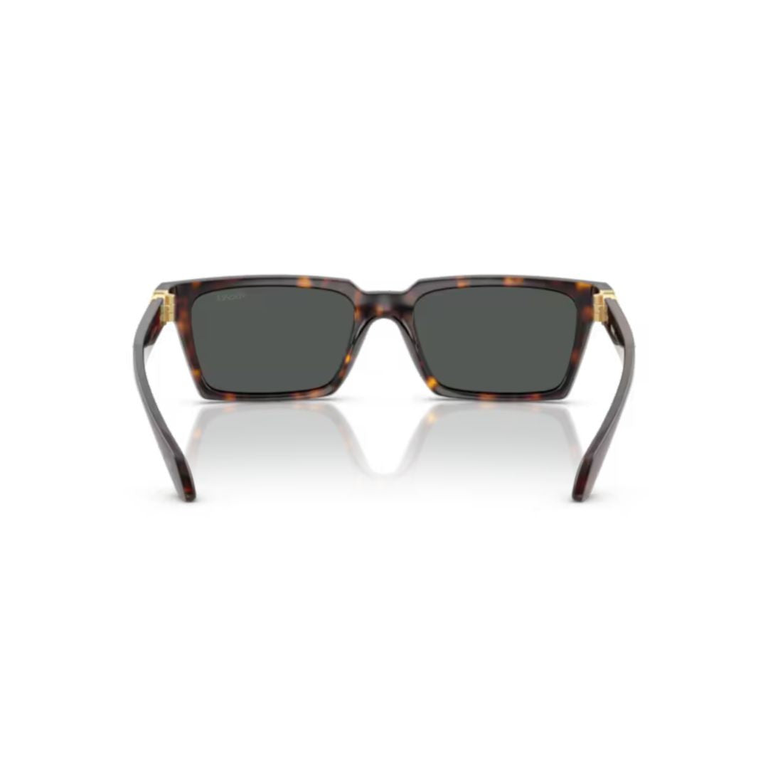 Versace 0Ve4490u Tortoiseshell Frame Sunglasses