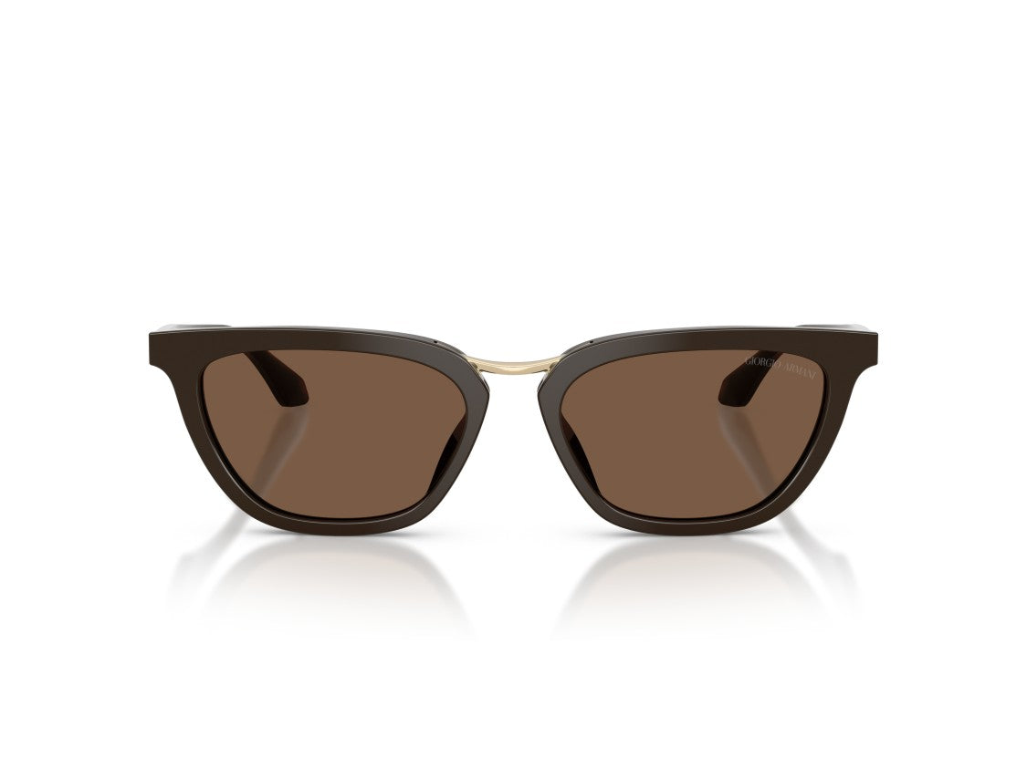 Giorgio Armani Gold 0Ar8253u Acetate Oversized Square Sunglasses