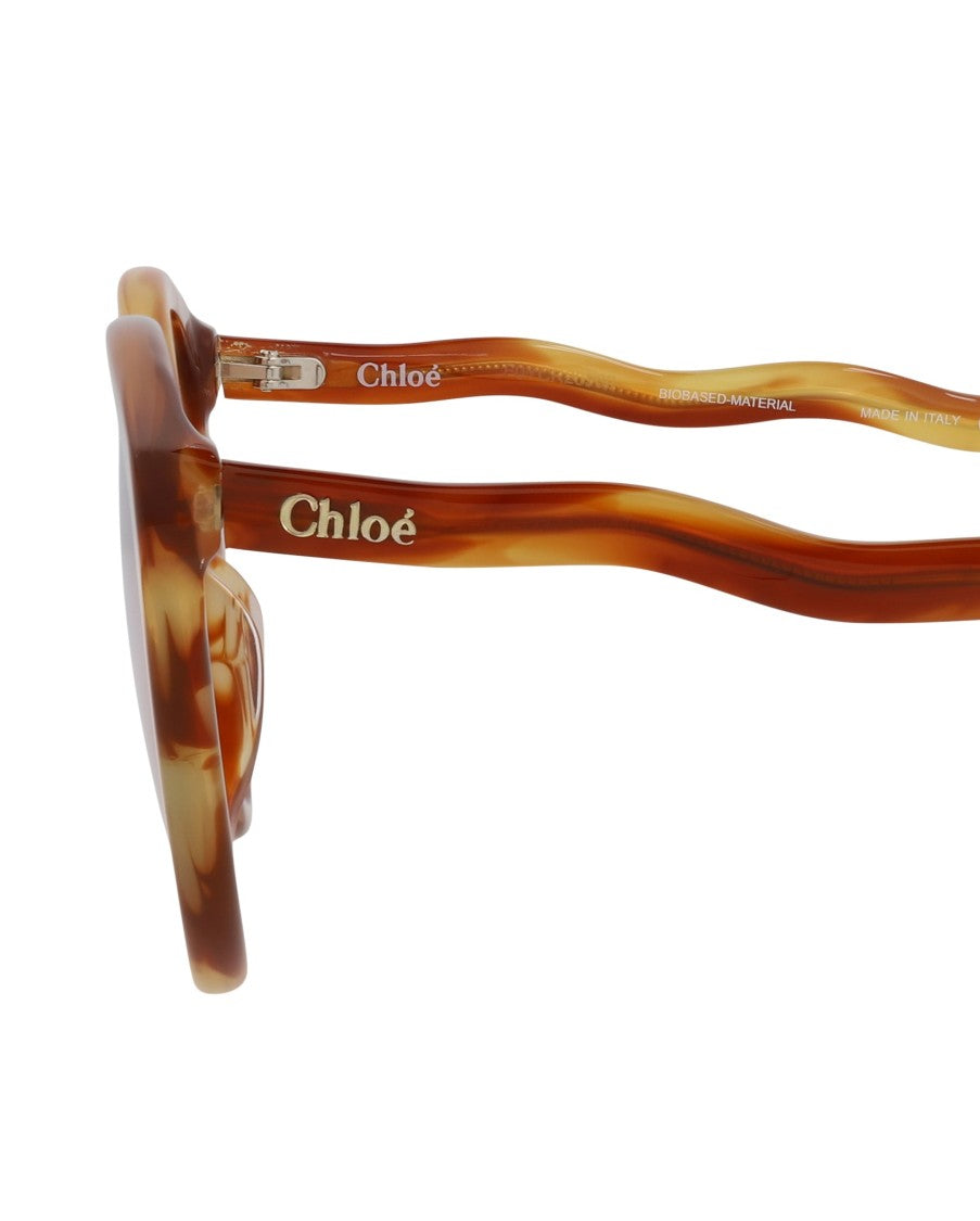 Chloé Cat Eye-Frame Bio Acetate Sunglasses