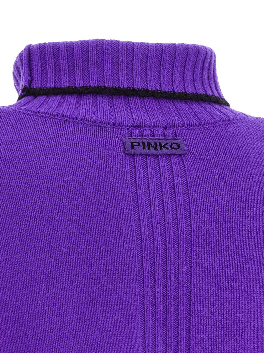 Pinko Falkland' Turtleneck Sweater